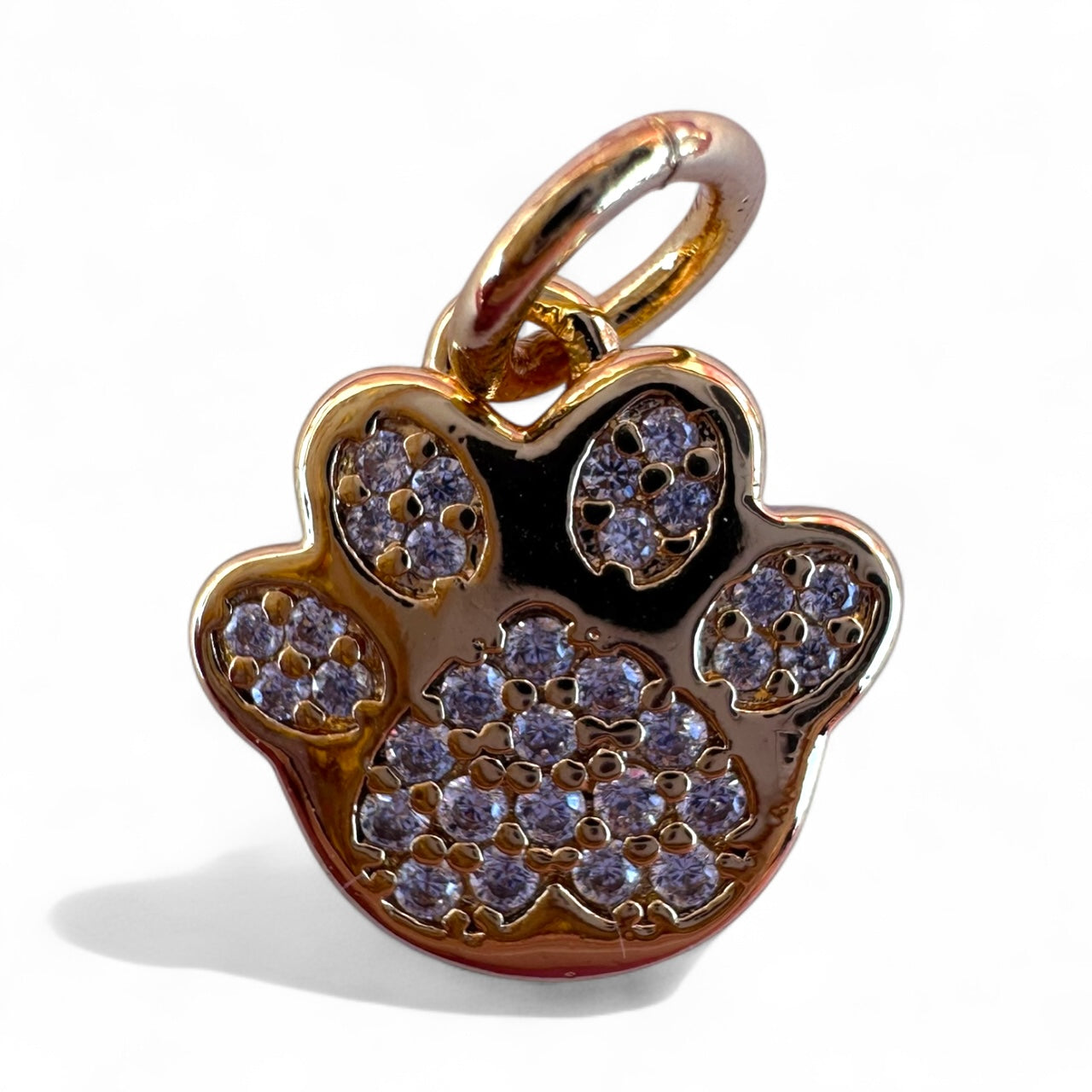 CZ Dog Paw