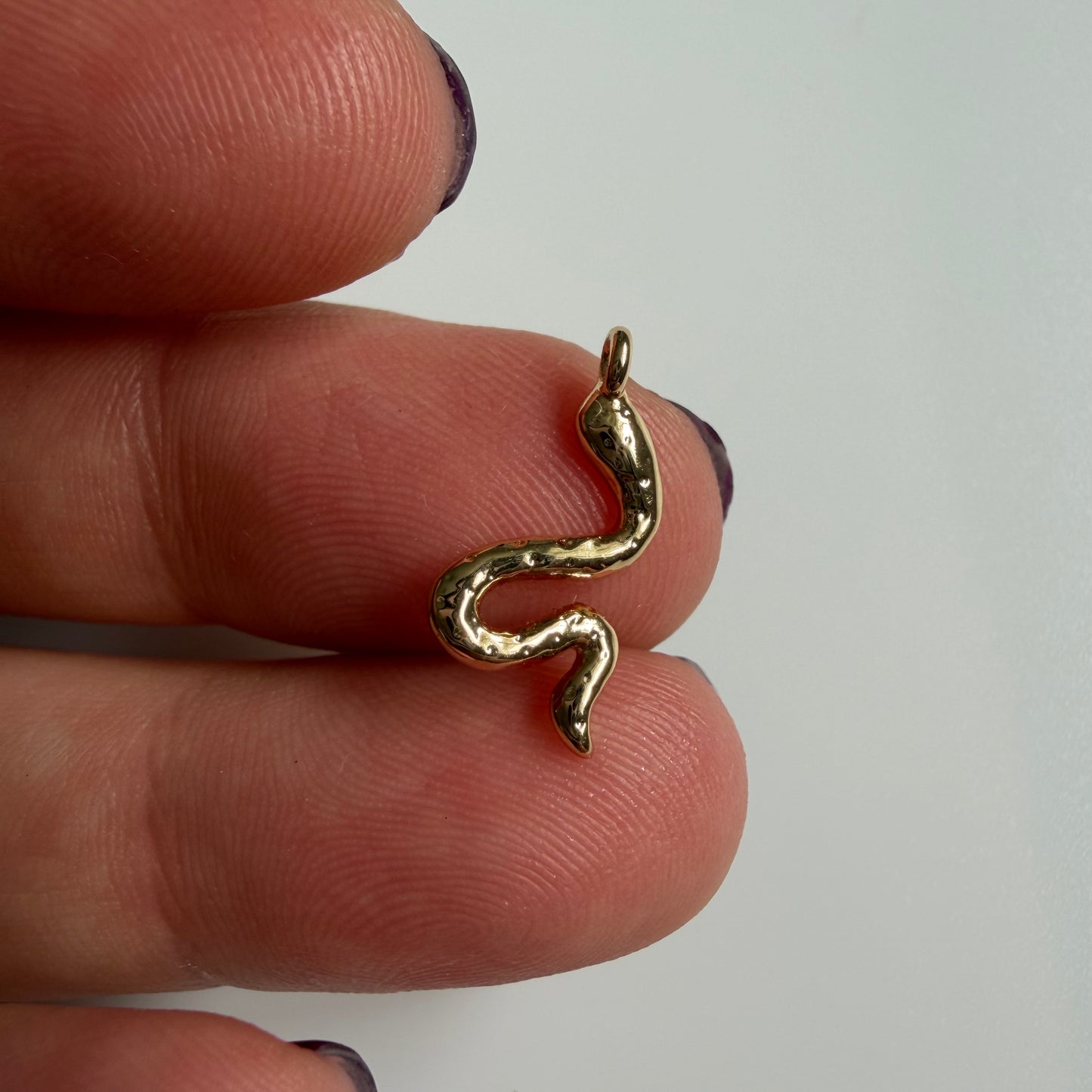 Snake