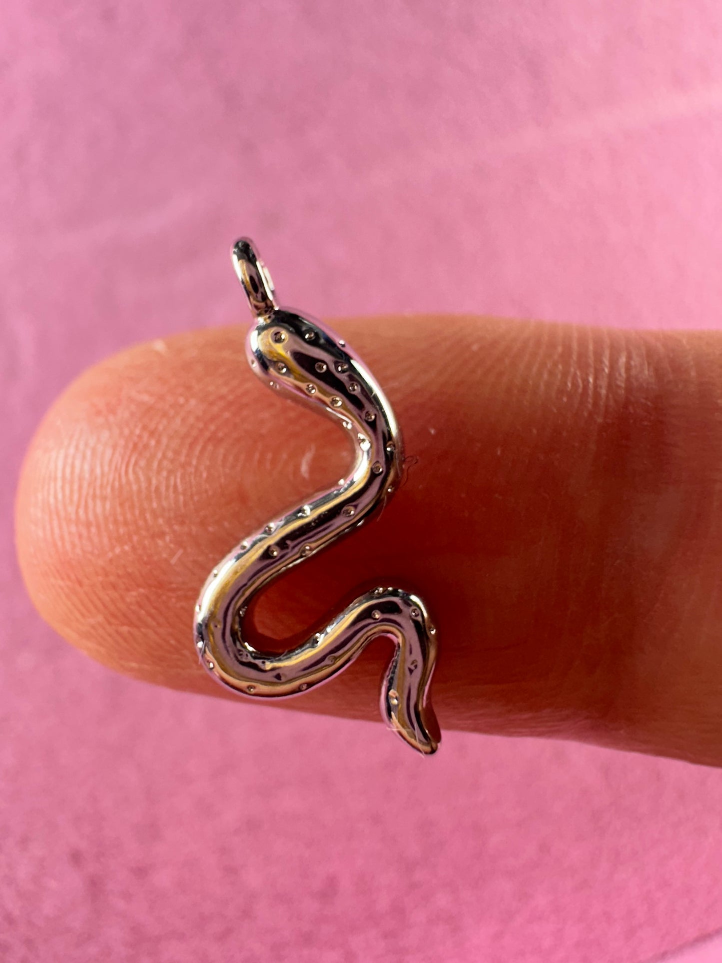Silver Snake